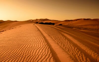 OMAN – TRA MONUMENTI E SOFFICI DUNE